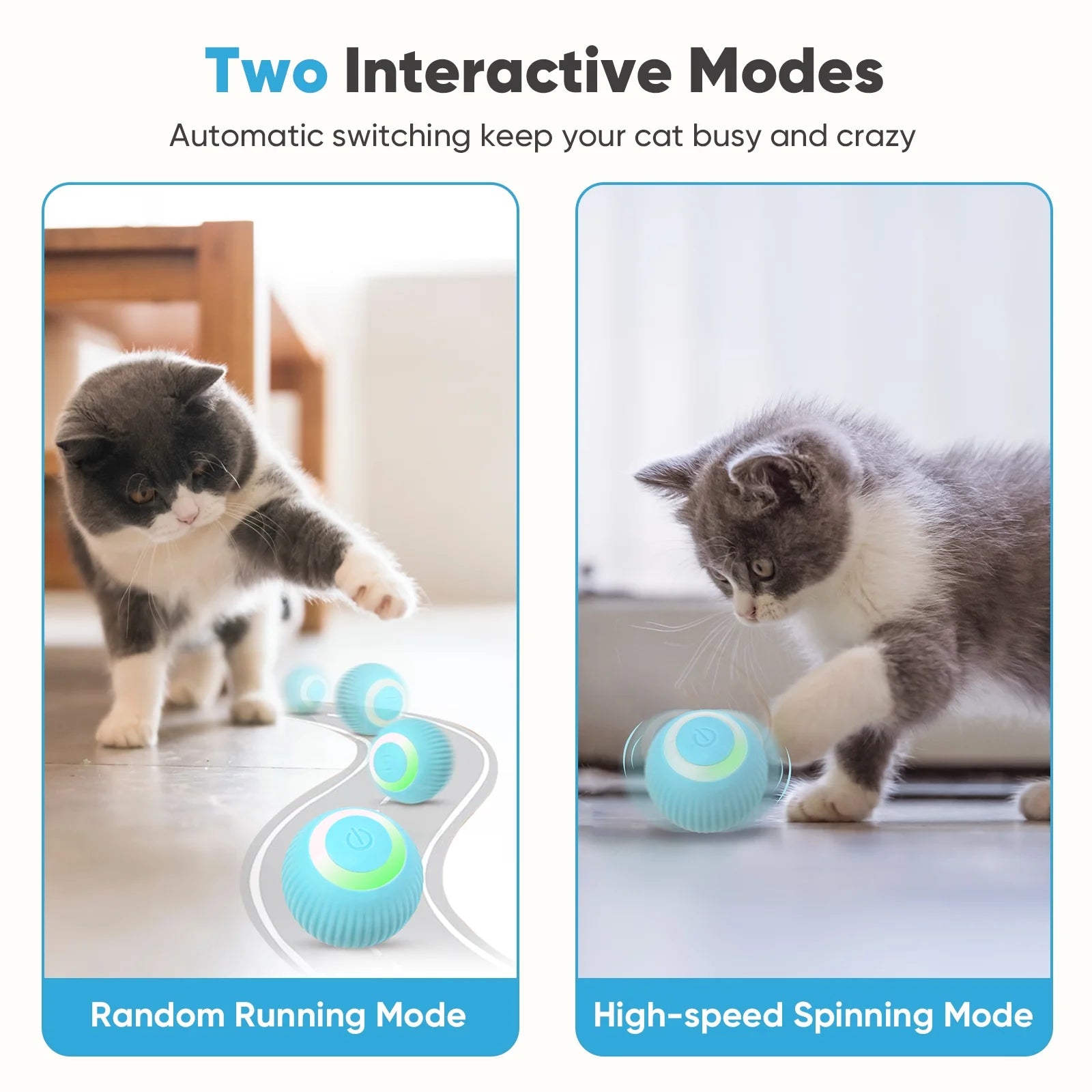 Interactive Smart Ball for Cats