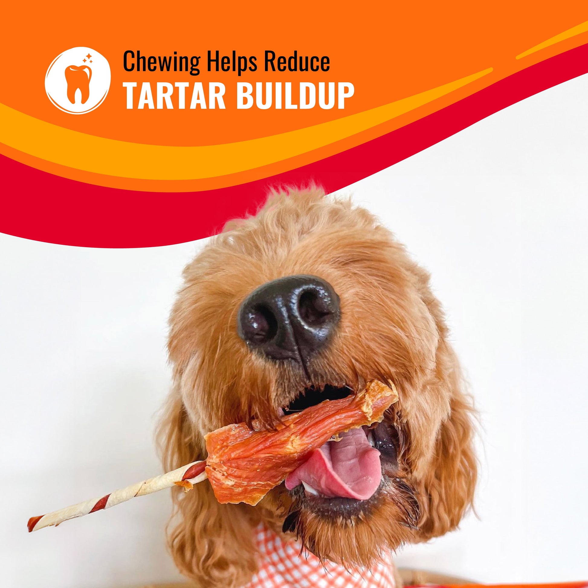 Triple Flavor Kabobs, Rawhide Chews for All Dogs