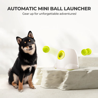 Automatic Ball Luancher