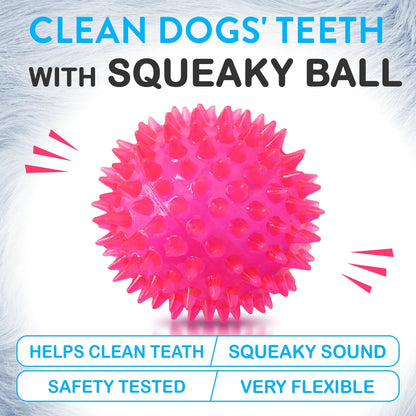 6 Pack of Dog Balls - Treat, Tennis & Spikey Balls