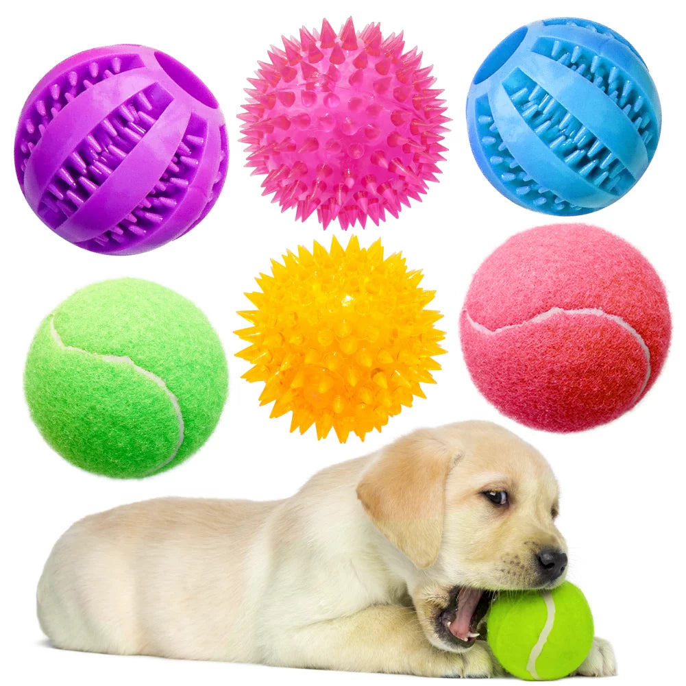 6 Pack of Dog Balls - Treat, Tennis & Spikey Balls