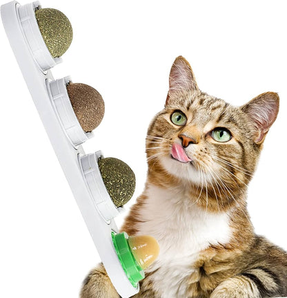 Catnip Ball Toy Set