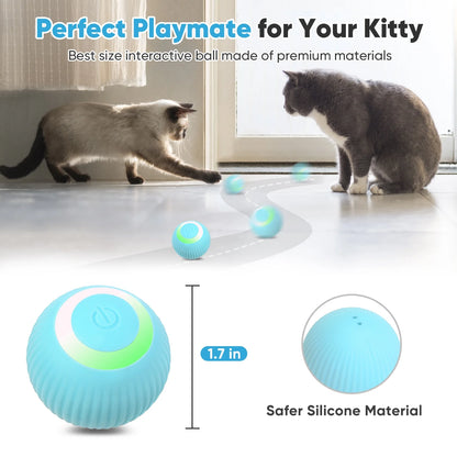 Interactive Smart Ball for Cats