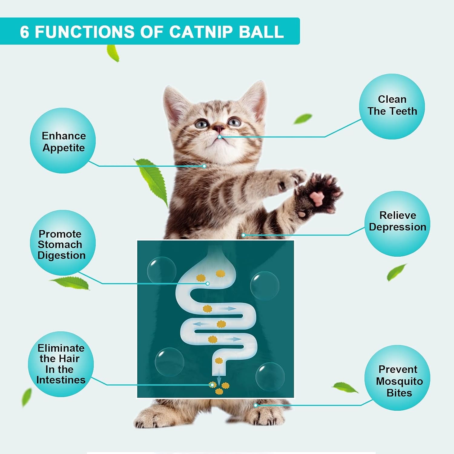 Catnip Ball Toy Set