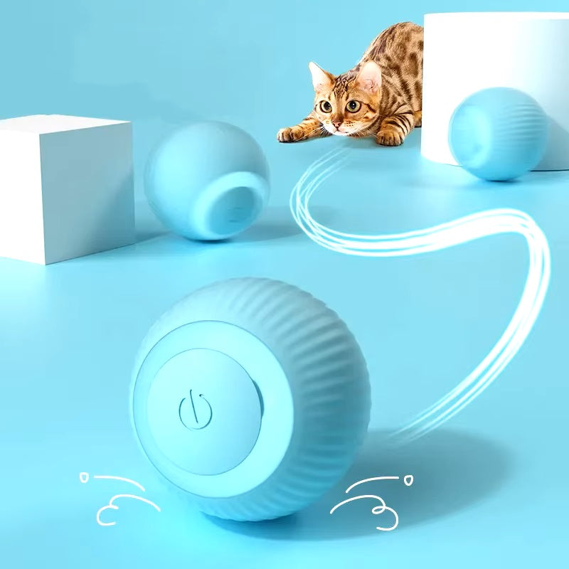 Interactive Smart Ball for Cats