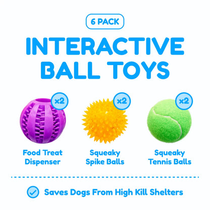 6 Pack of Dog Balls - Treat, Tennis & Spikey Balls