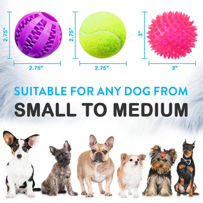 6 Pack of Dog Balls - Treat, Tennis & Spikey Balls